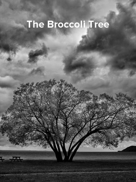 The Broccoli Tree