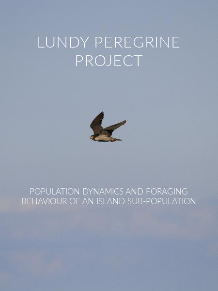 Lundy Peregrine Project