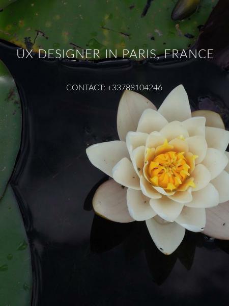 UX DESIGNER in Paris, France