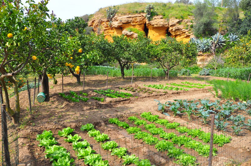 Some of the most beautiful, and fascinating, gardens in Sicily