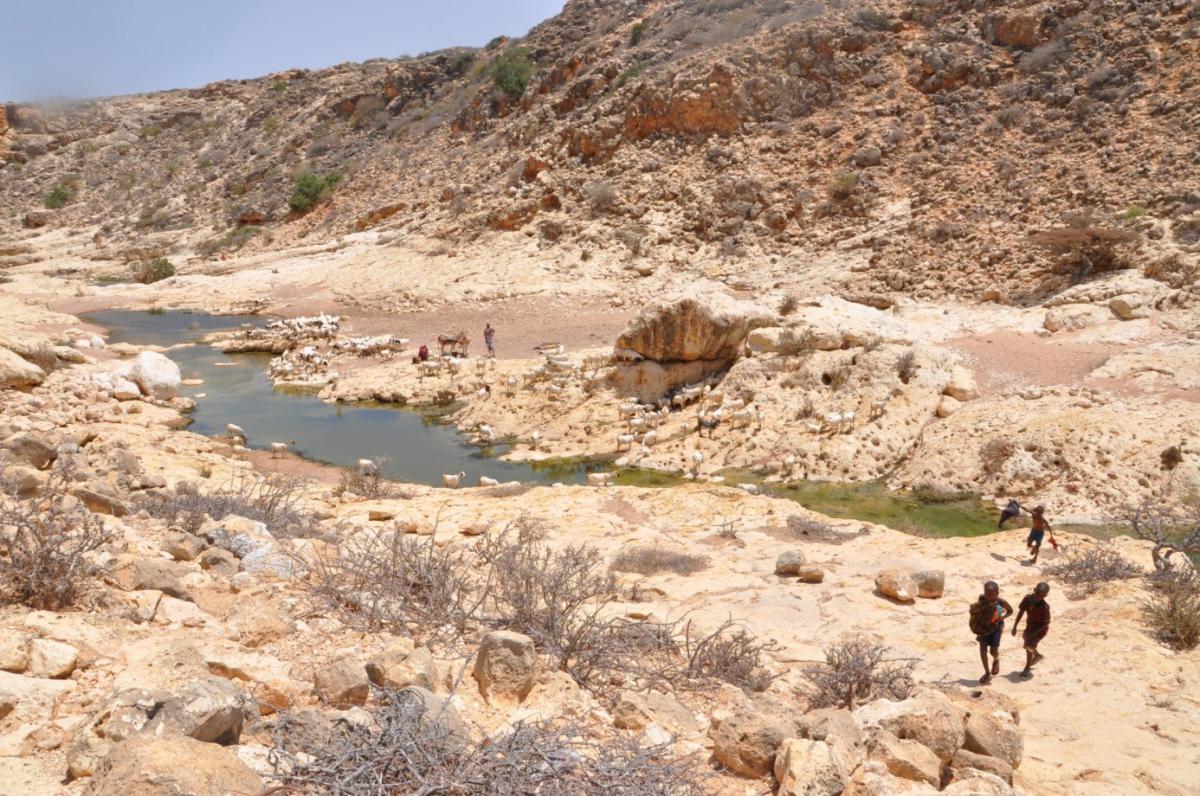 Natural source of water in the canyon. Photo: PAH