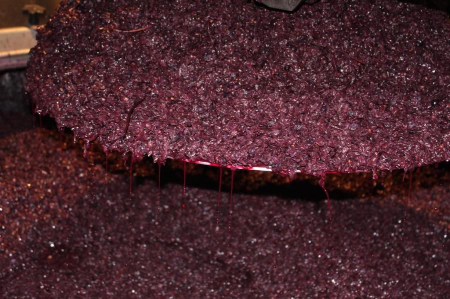 Making Morellino Riserva