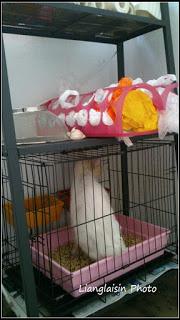 943041_10201098721972243_1572072625_n.jp