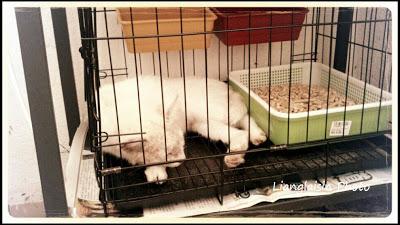 931301_10201099299786688_2104816468_n.jp