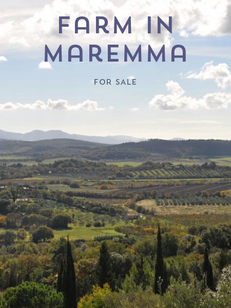 Farm in Maremma