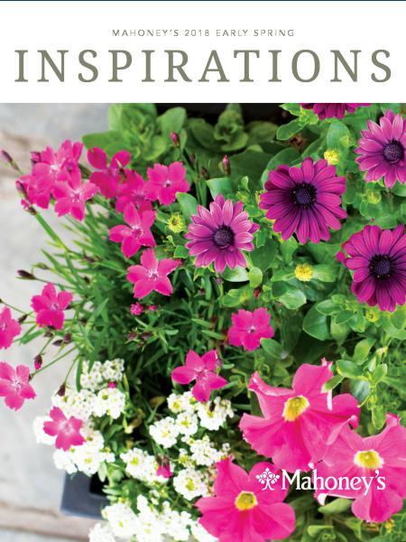 Mahoney S Inspirations 2018 Spring