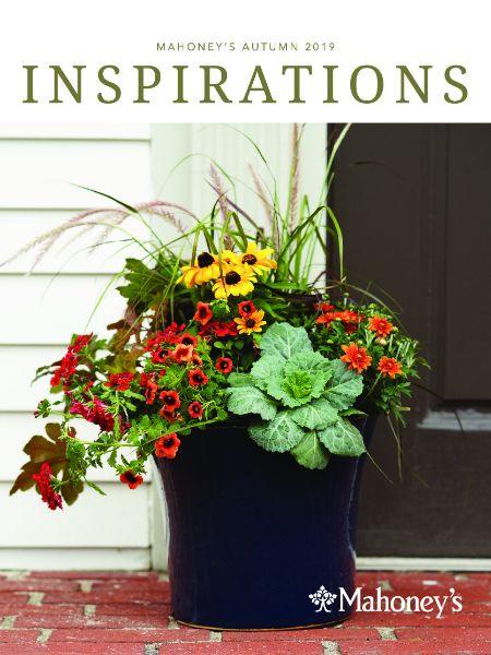 Mahoney S Inspirations