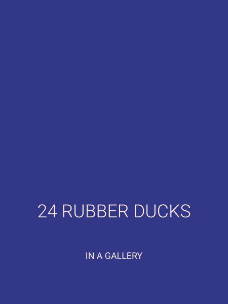 24 RUBBER DUCKS