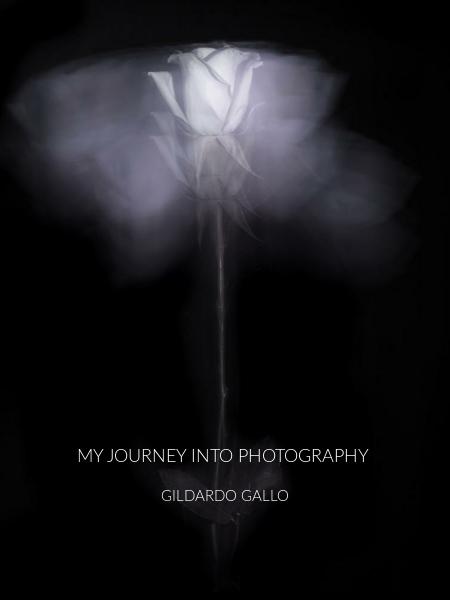 My Journey into Photography