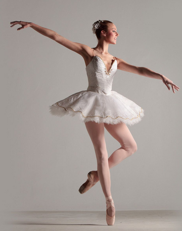 what does a ballerina look like? - google images 