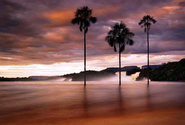 Atardecer en La Laguna de Canaima