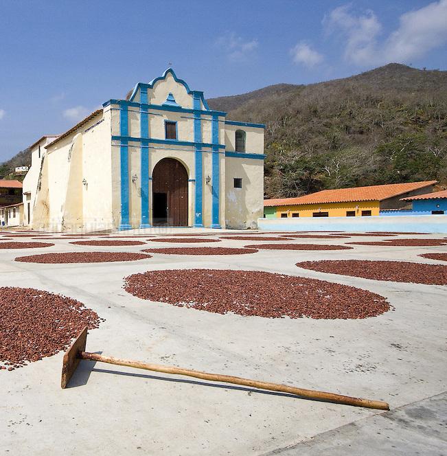 Cacao Venezolano 