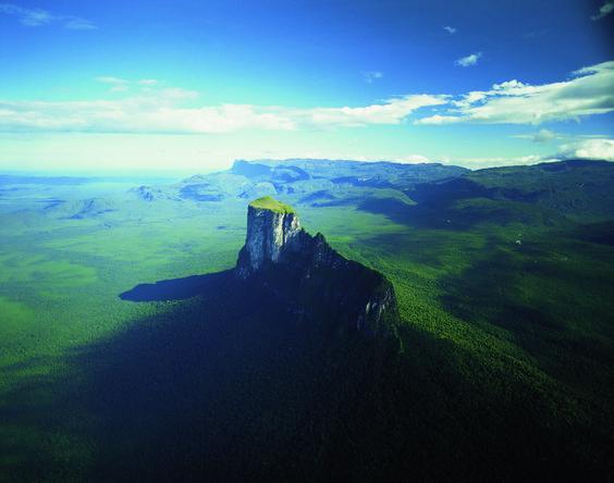 Cerro Autana y Selva Amazónica