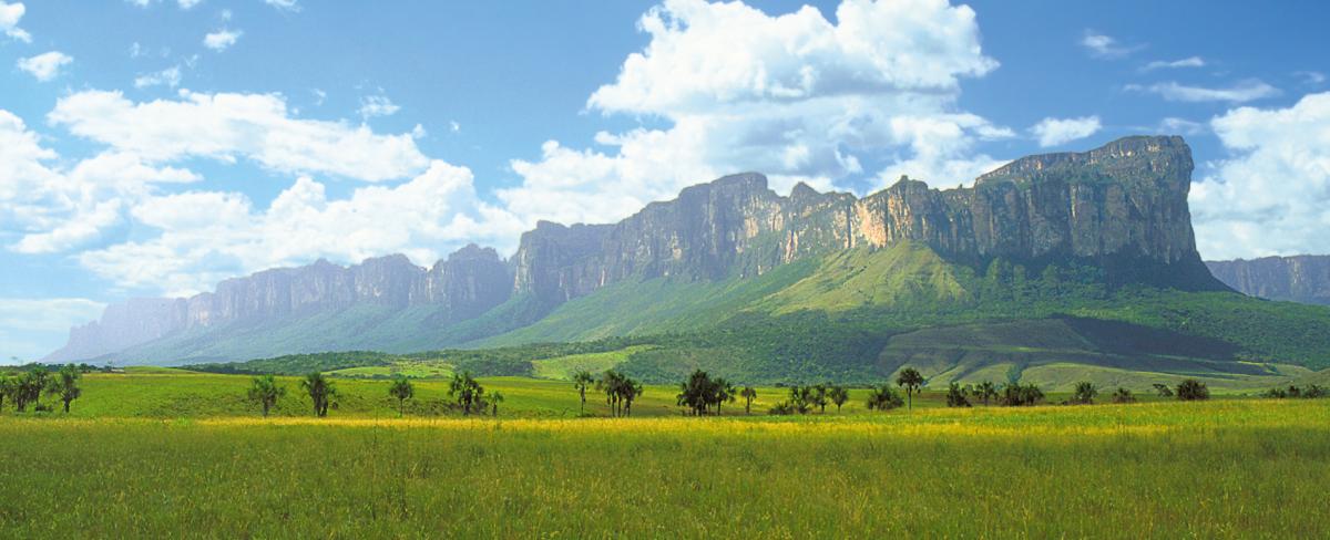 Tepuy en La Gran Sabana