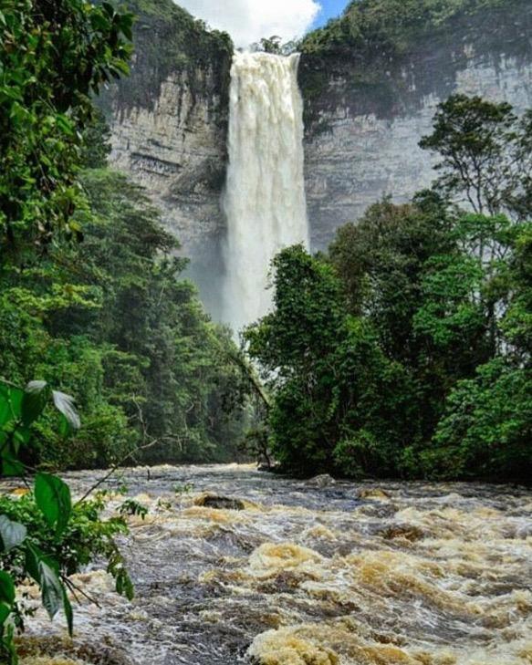 Paraíso en La Gran Sabana