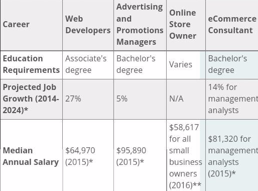 Career of E-Commerce