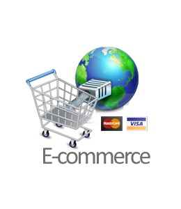 Career of E-Commerce 