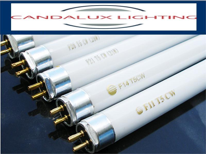 Fluorescent Lamps(Level 2)