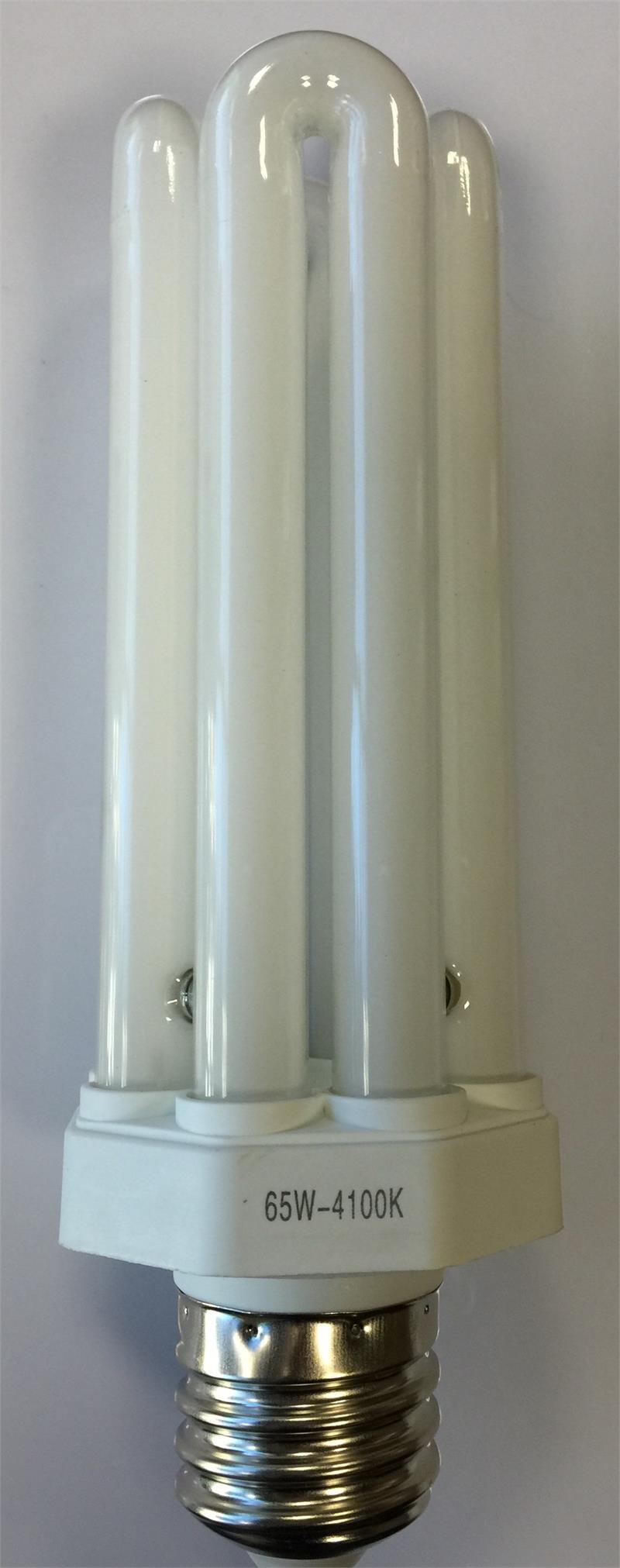 CF65W Fluorescent Bulb