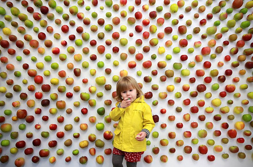 Fruit Wall