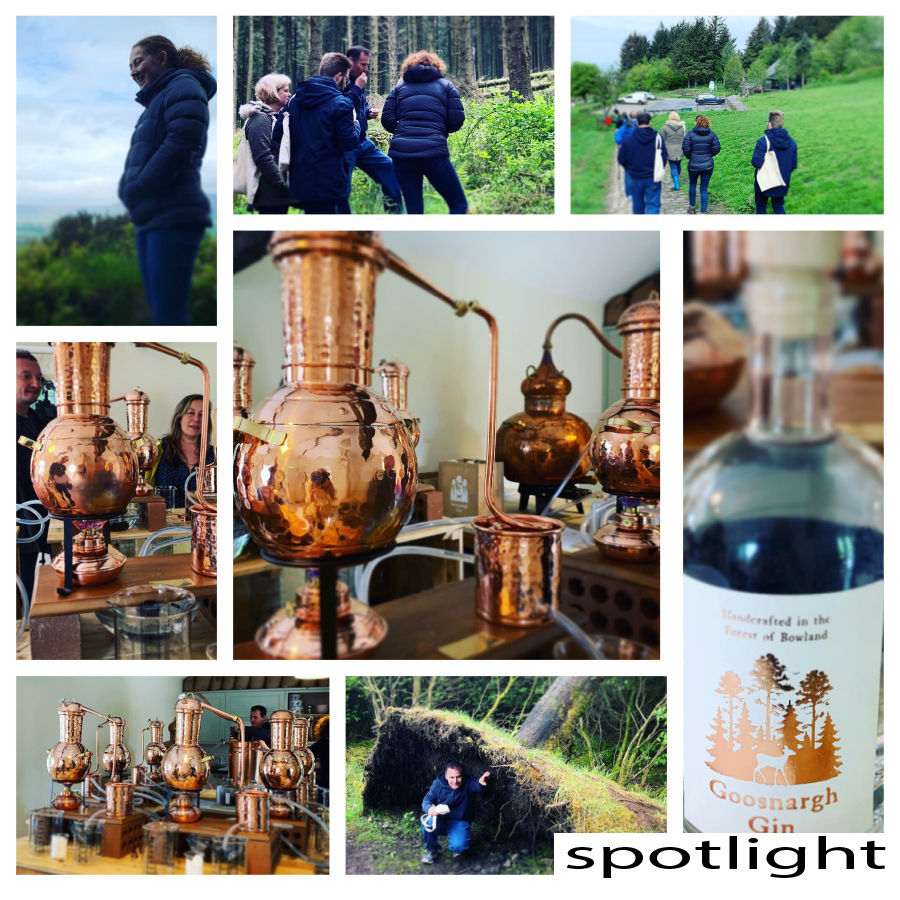 Foraging and Distilling the Goosnargh Gin way