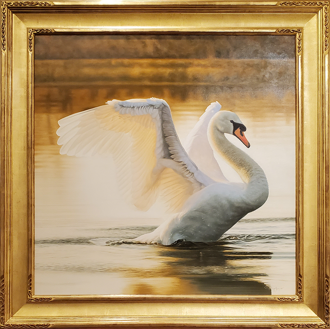 swan in 23k frame