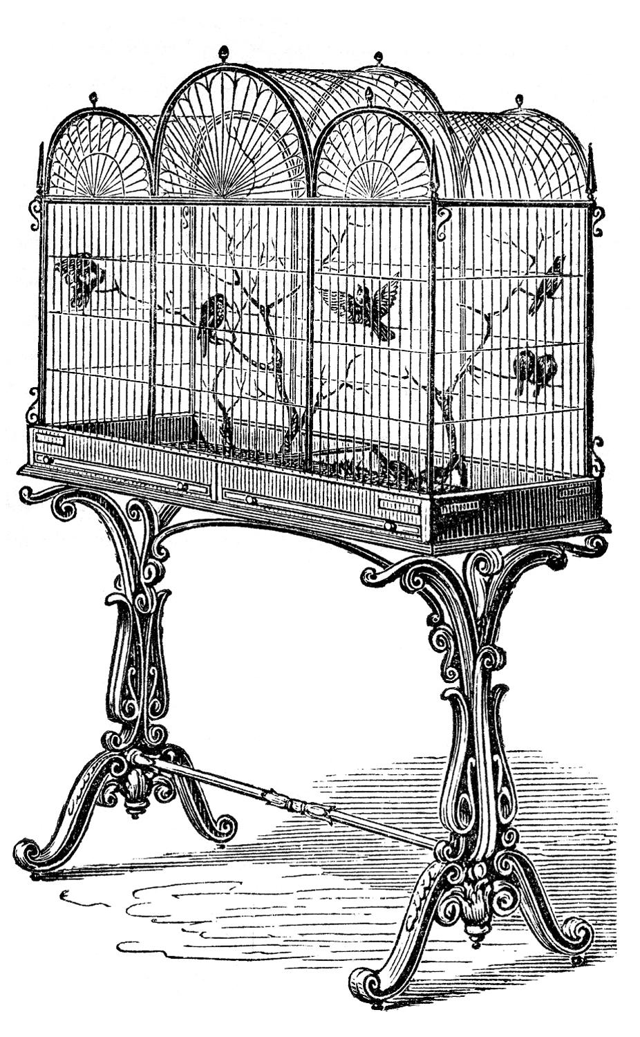 Bird-Cage-Stock-Image-GraphicsFairy