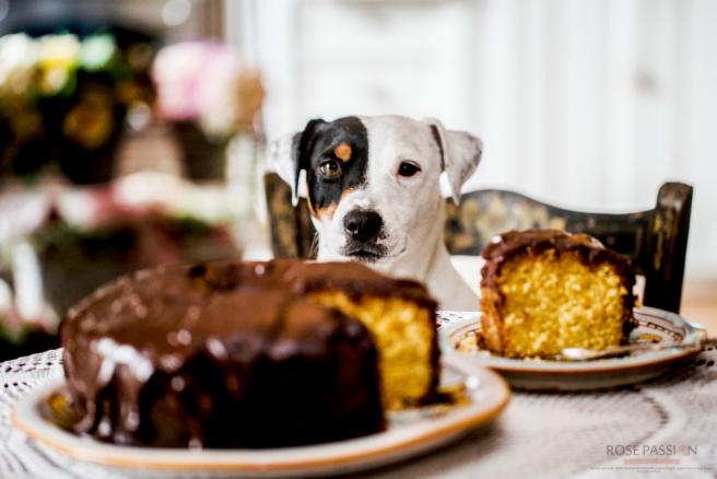 Bolo de cenoura