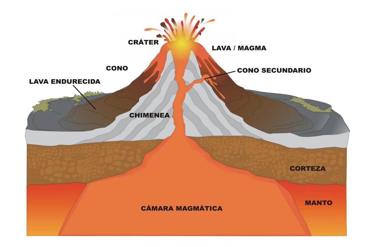 ¿COMO SE PRODUCE UNA ERUPCIÓN ?