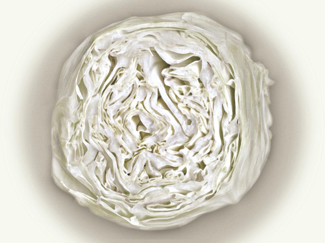 Texture "The White cabbage"