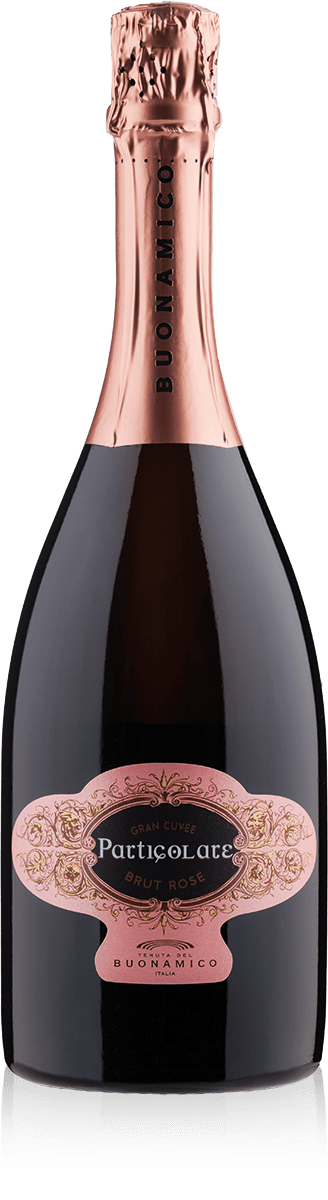 SPARKLING 
ROSE' BRUT

Awarded 
10 times