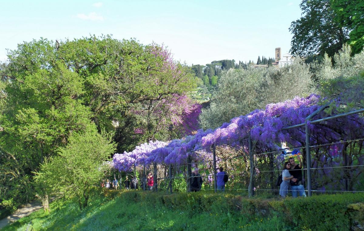巴尔蒂尼花园（Giardino Bardini）