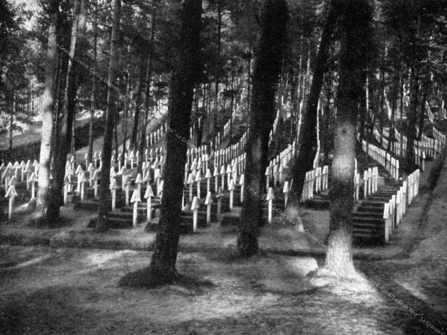 War cemetery in Wilna-Antokol (in every tomb there lies a son)